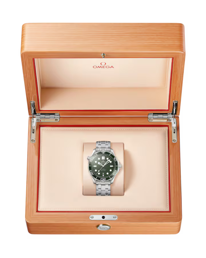 Seamaster Diver 300M