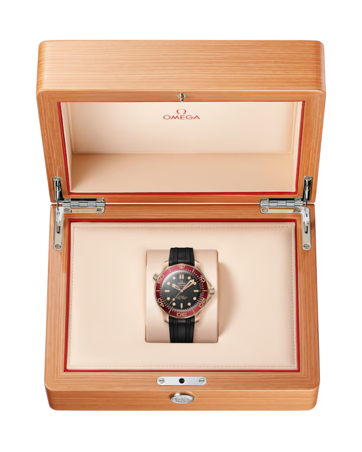 Seamaster Diver 300M